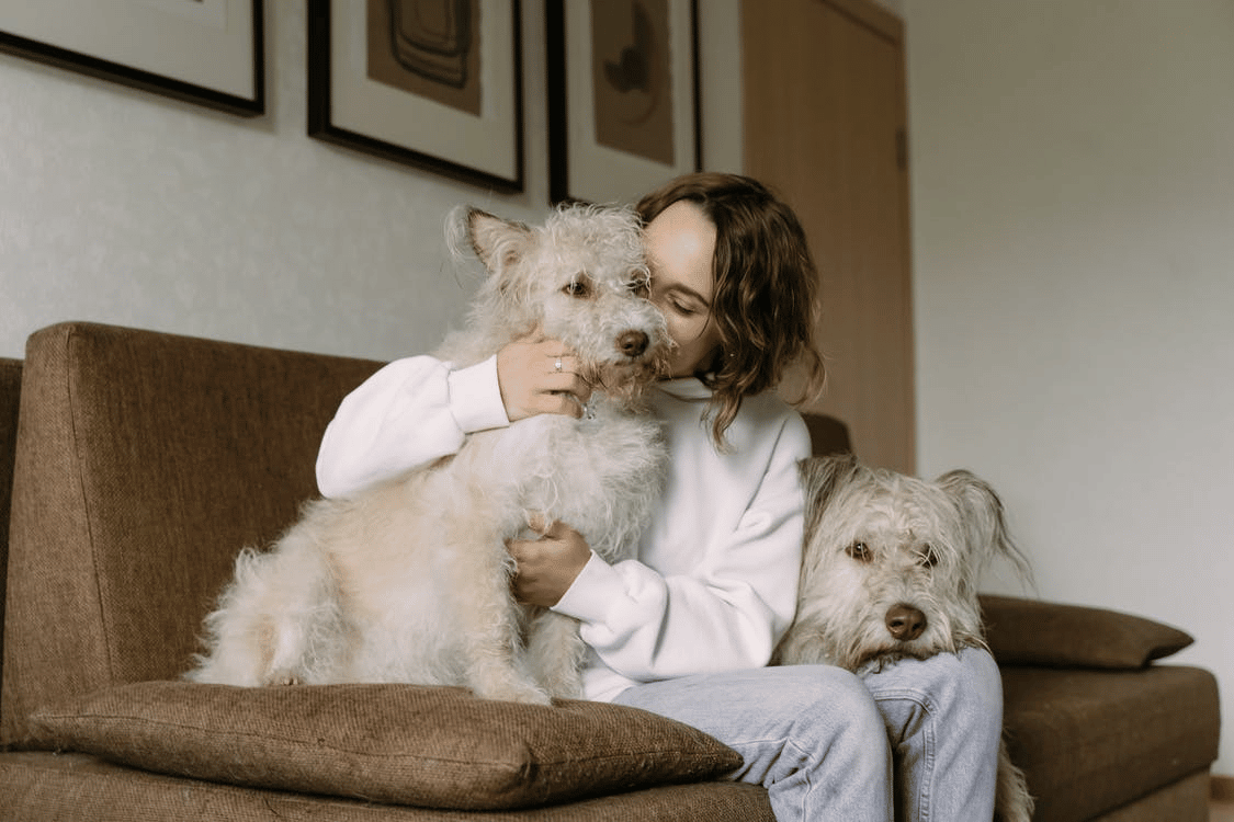 Holistic Pet Health: The Complete Pet Care Plan