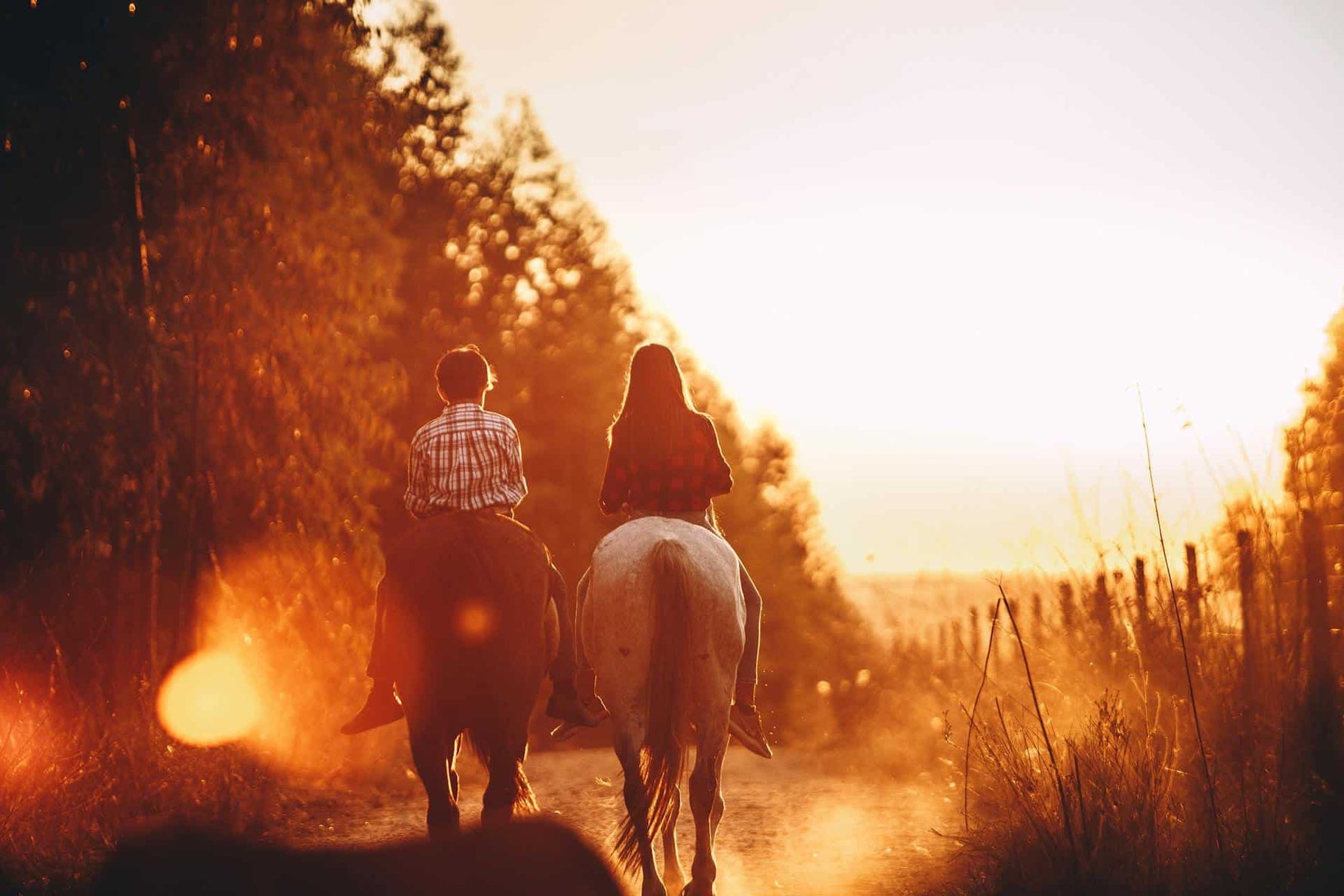 Calm Your Horses: How to Deal with a Skittish Horse