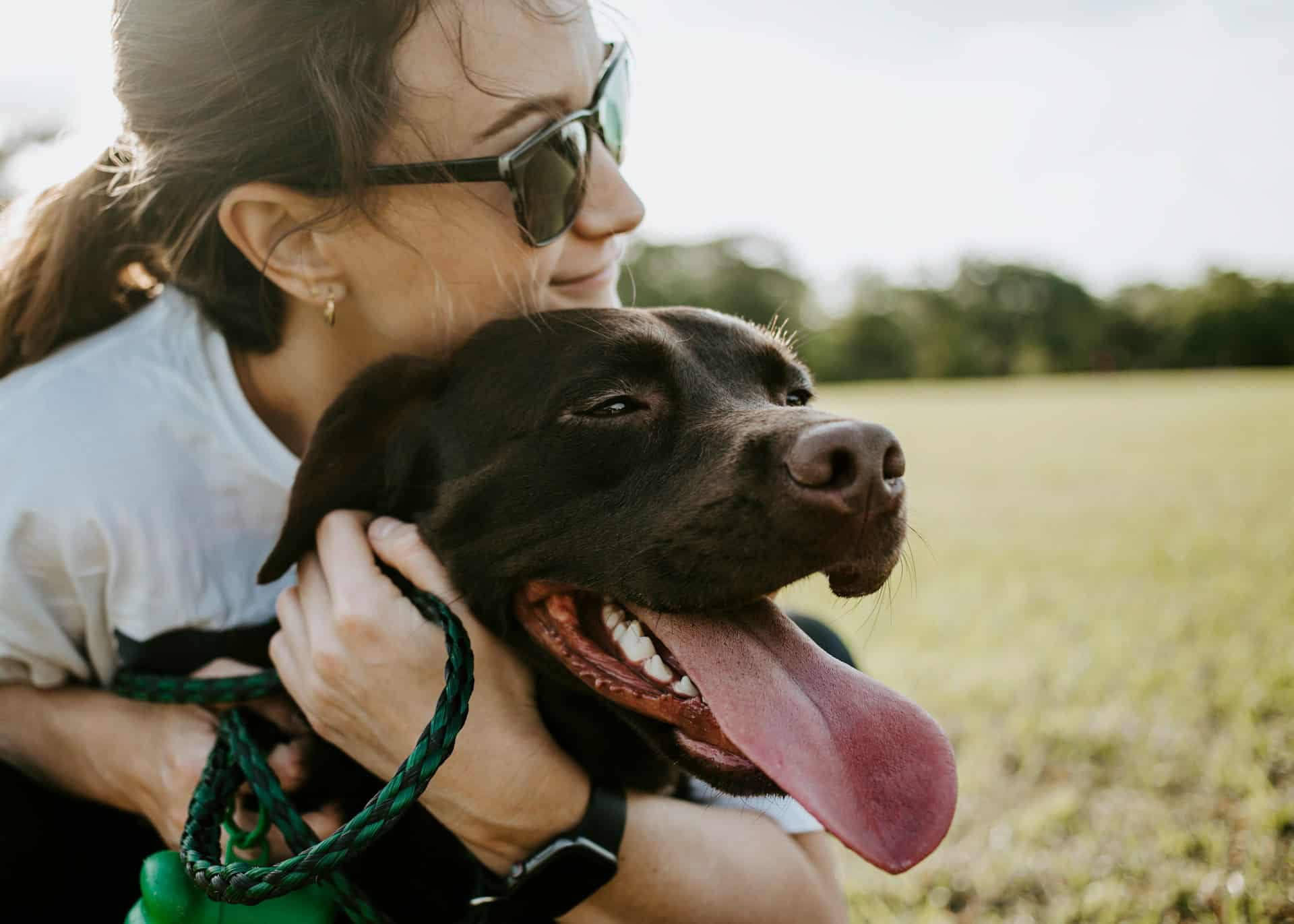 Why Dogs Whine: Understanding Canine Communication