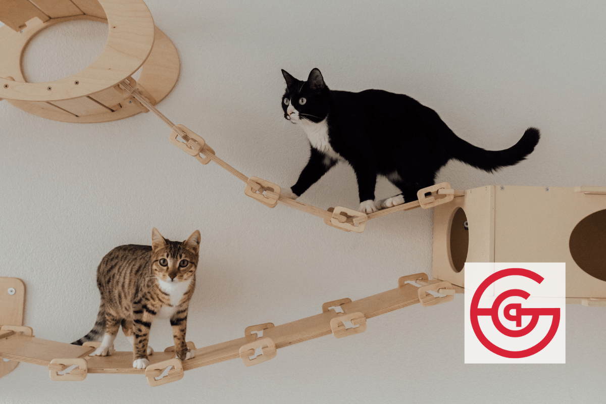 April Is Pet First Aid Awareness Month