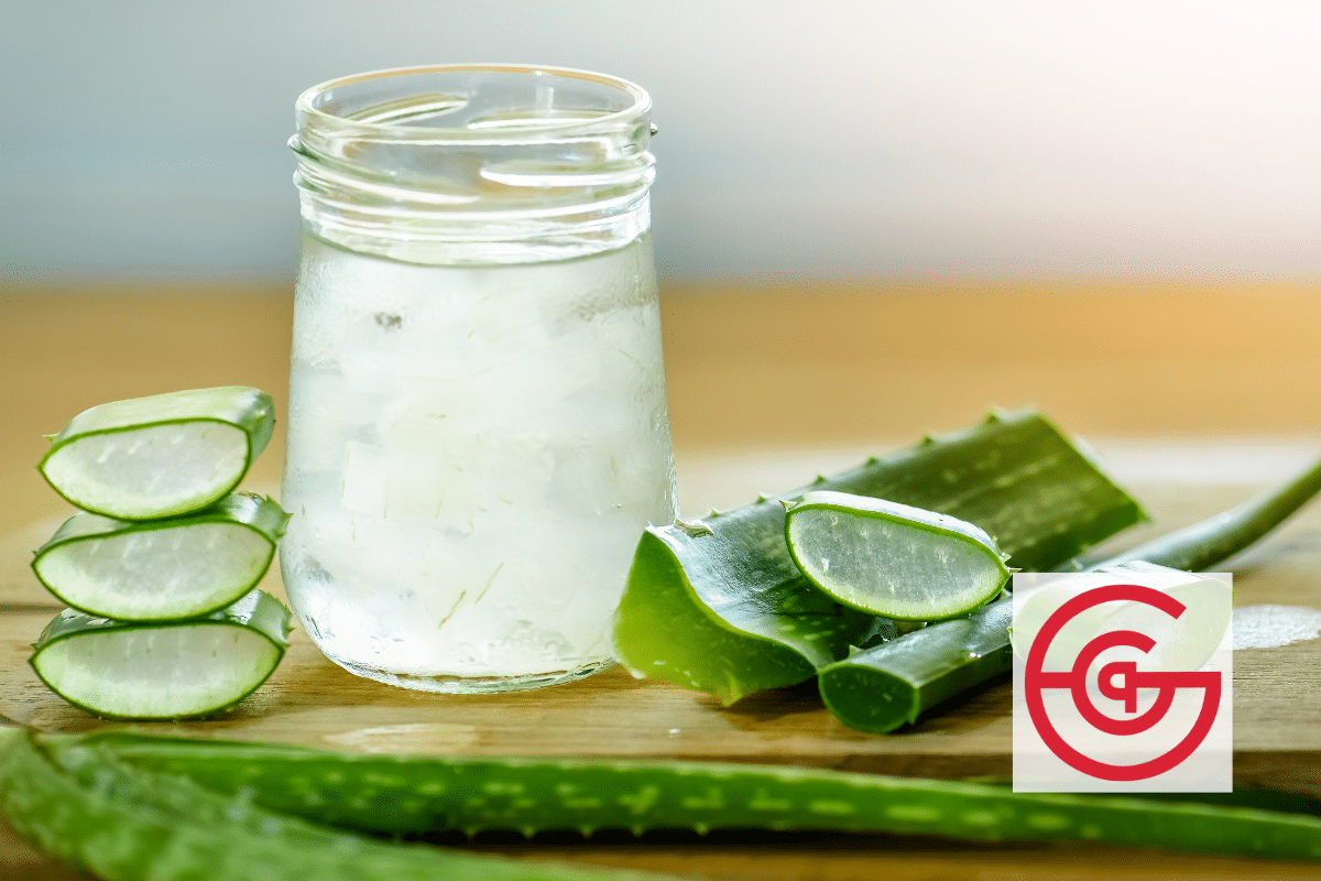 Aloe Vera Gel - Functionalities and Benefits for Pets