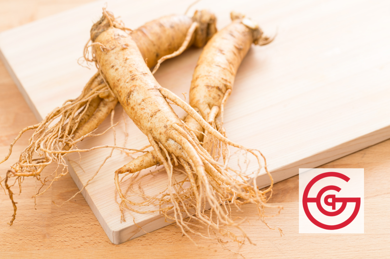 Ginseng (Ren Shen) - Functionalities and Benefits for Pets