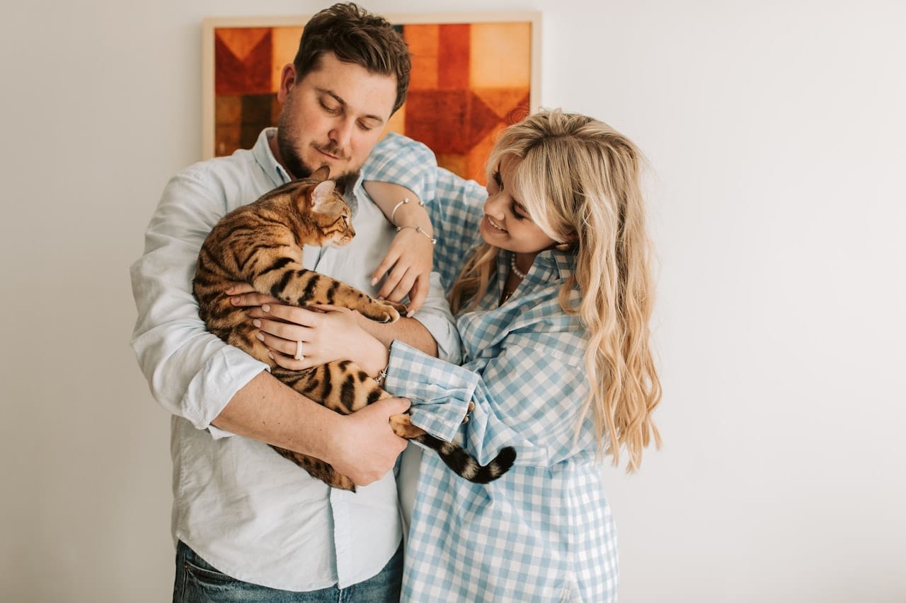 Natural Pain Relief for Cats: Holistic Approaches for Comfort