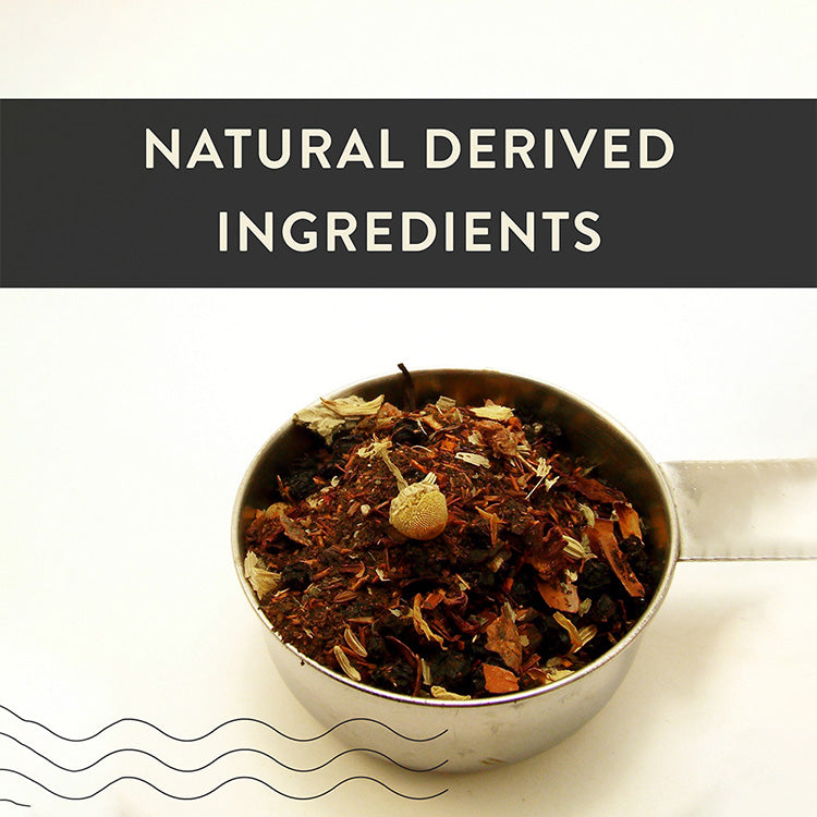 Joint Spray for Dogs image 1