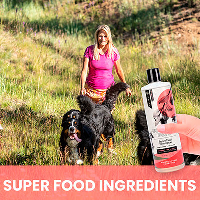 Inner Fuel and Energy Boosting Shampoo for Dogs image 3