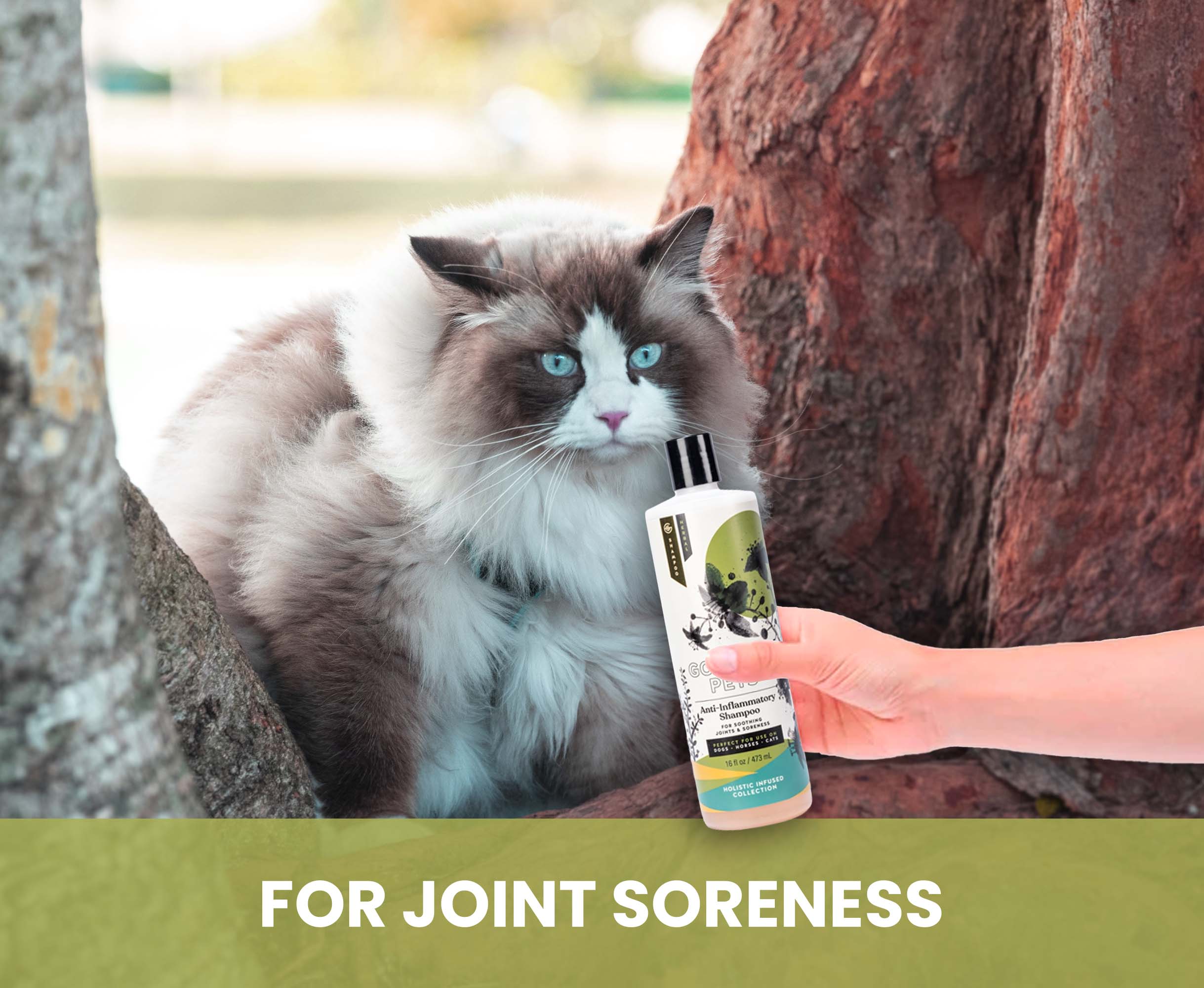 Joint Comforting Shampoo for Horses
