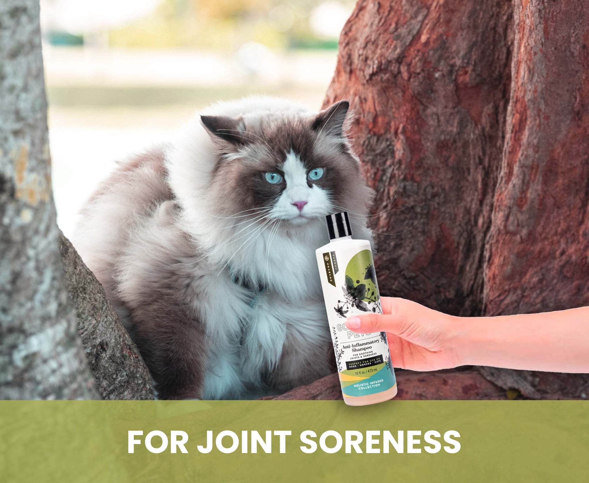 Joint Comforting Shampoo for Horses