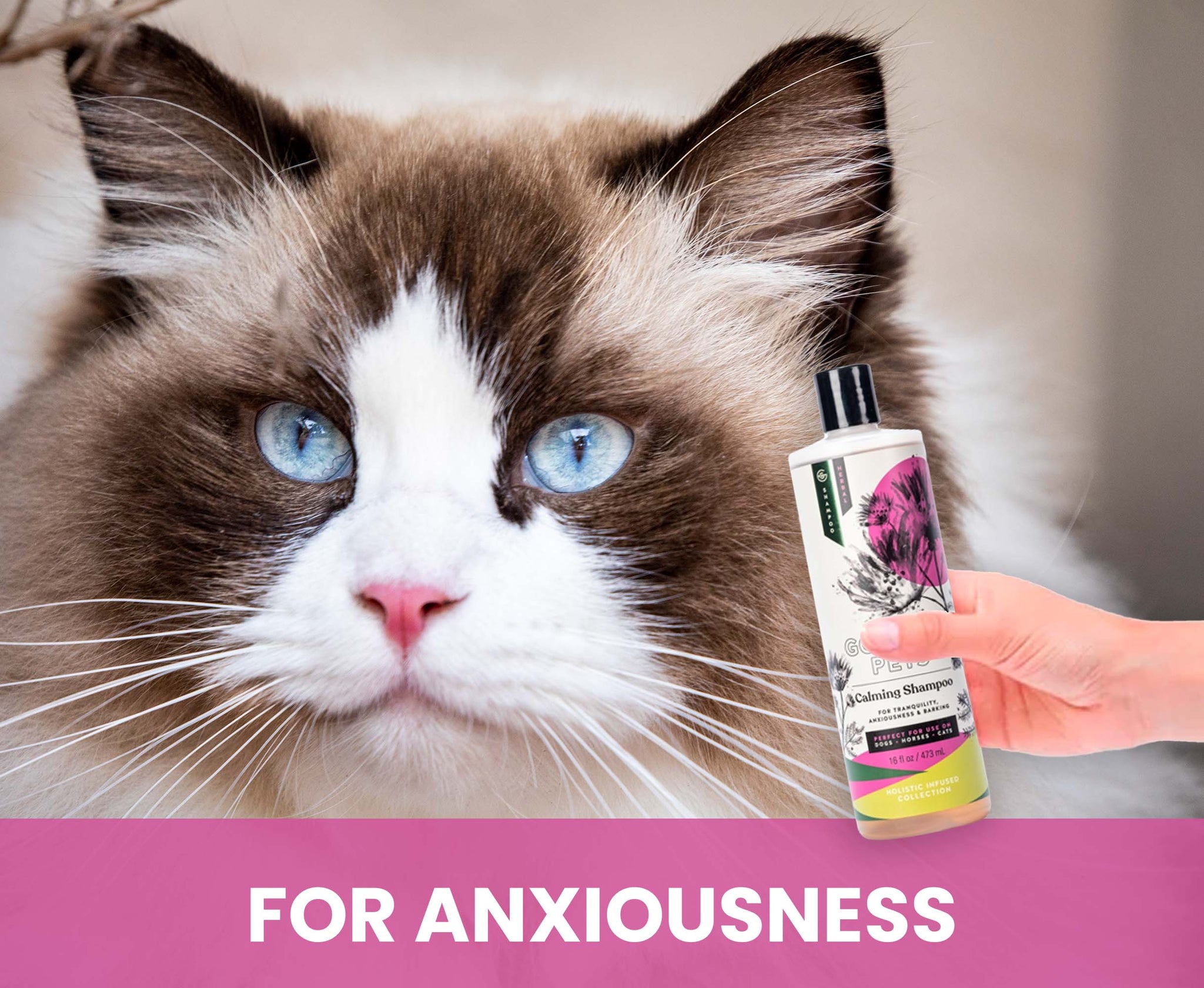 Calming Shampoo for Dogs