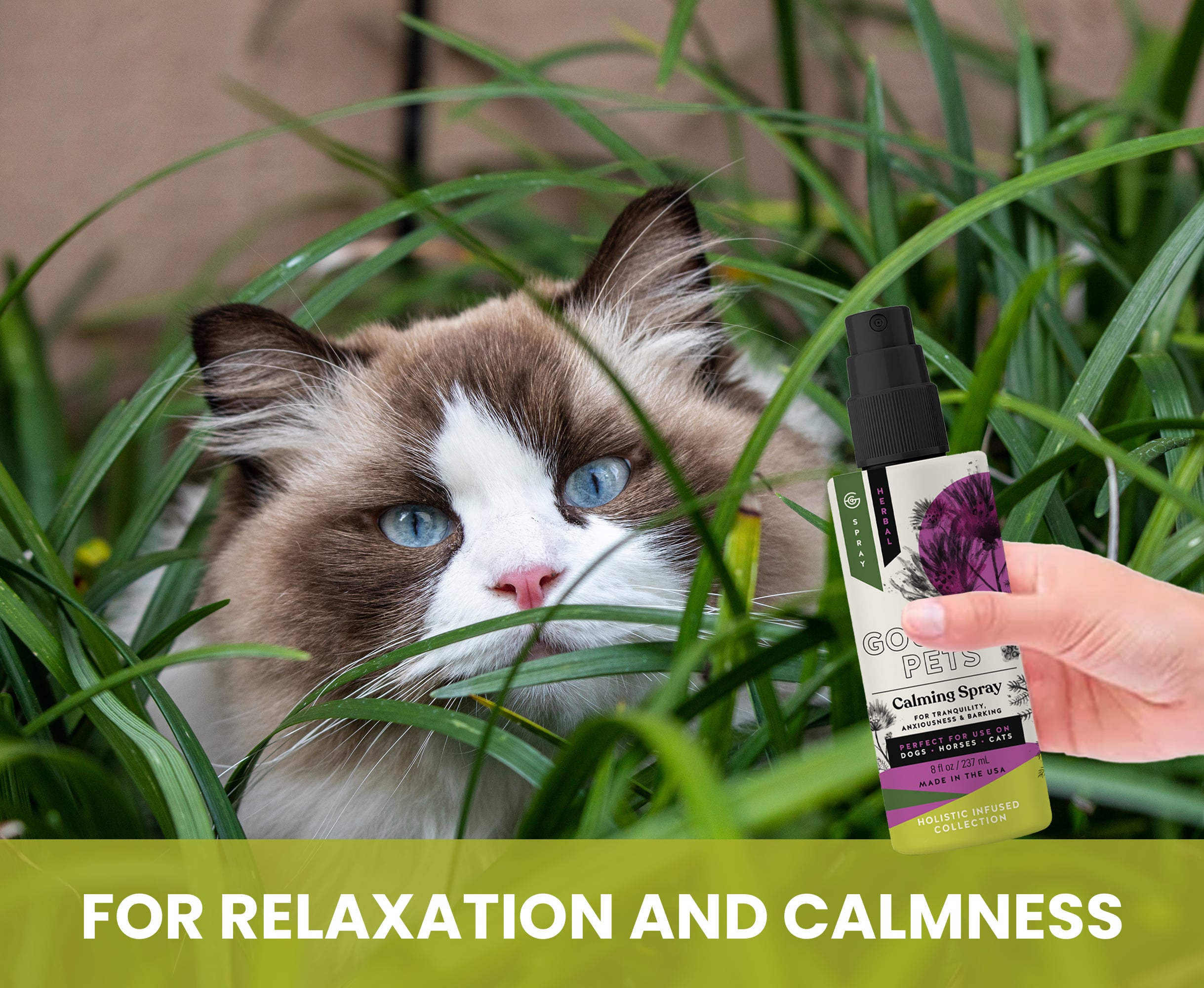 Calming Spray for Dogs: Natural Support for Anxiousness and Stress