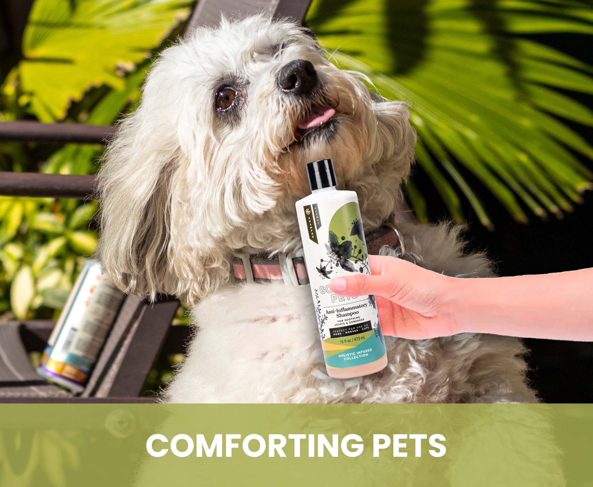 Joint Comforting Shampoo for Horses