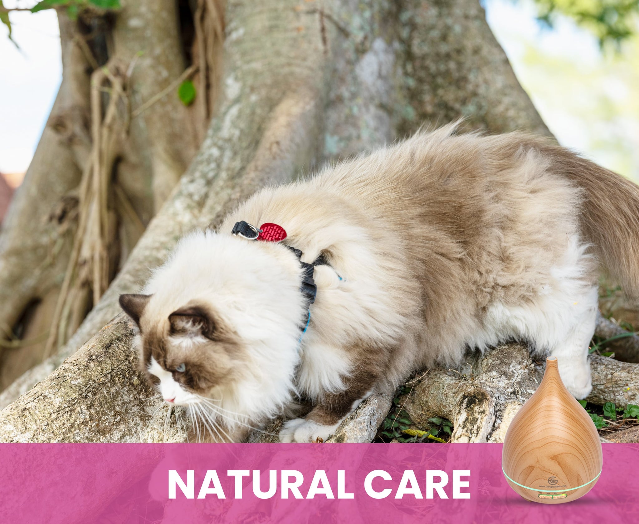 Essential Oil Diffuser for Horses | 300 mL