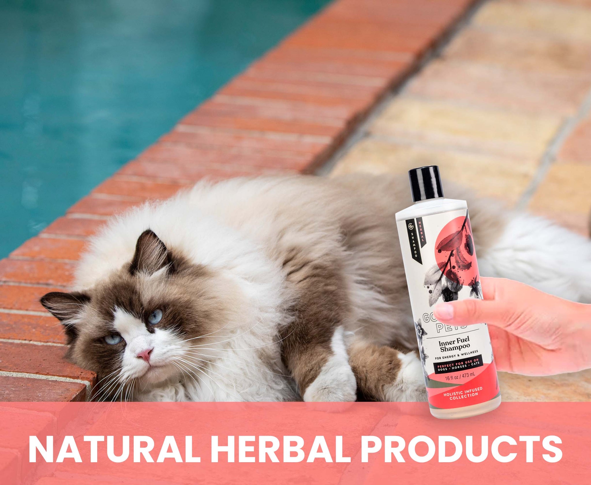 Inner Fuel and Energy Boosting Shampoo for Dogs