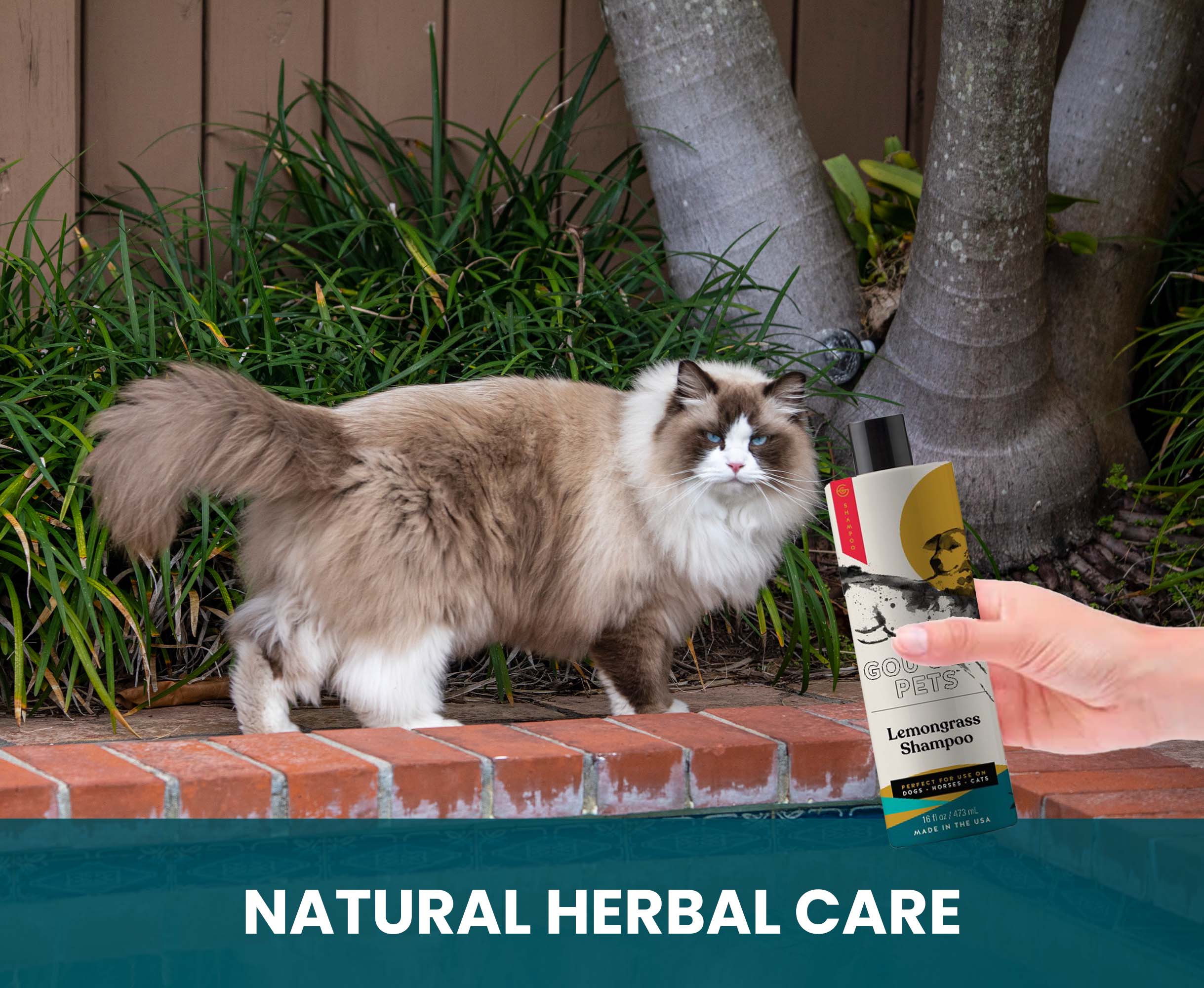 Lemongrass Shampoo for Horses