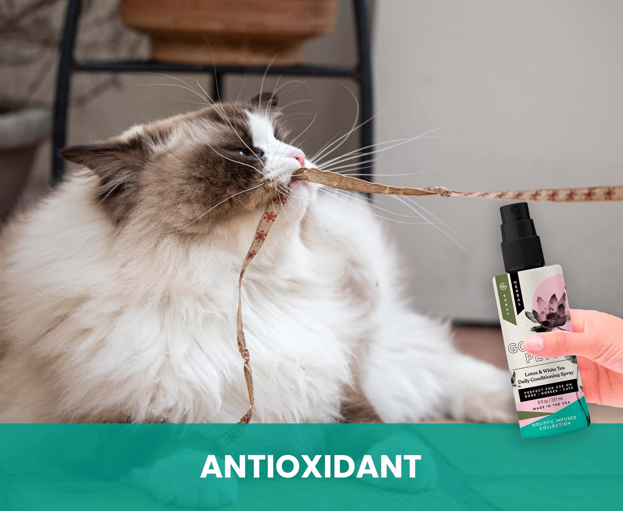 Lotus and White Tea Daily Conditioning Spray for Dogs