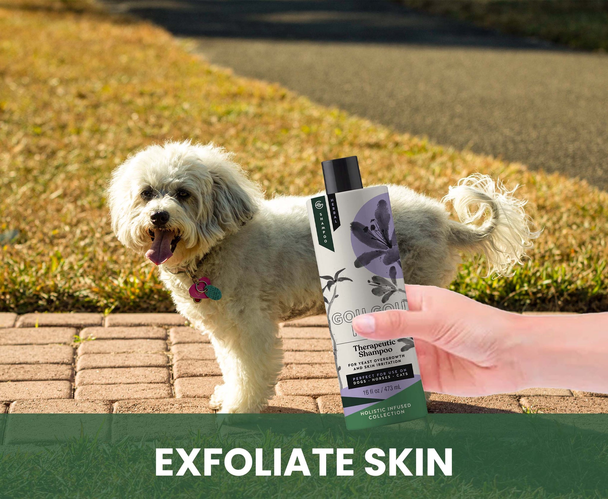 Therapeutic Shampoo for Horses: Natural Relief for Skin Yeast Overgrowth