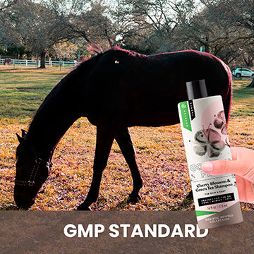 Cherry Blossom and Green Tea Shampoo for Horses image 2