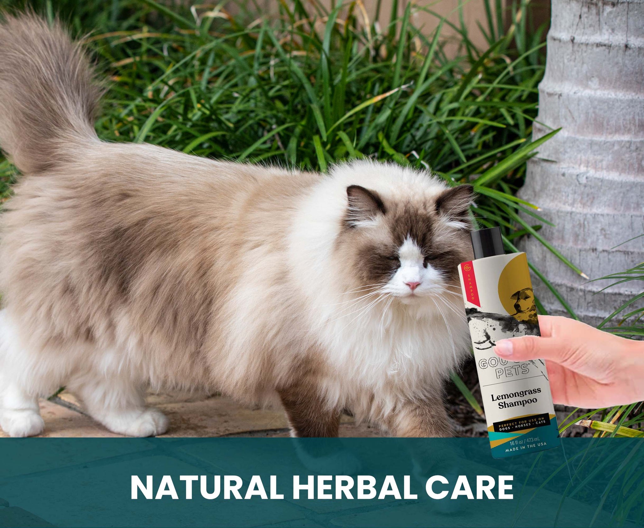 Lemongrass Shampoo for Dogs