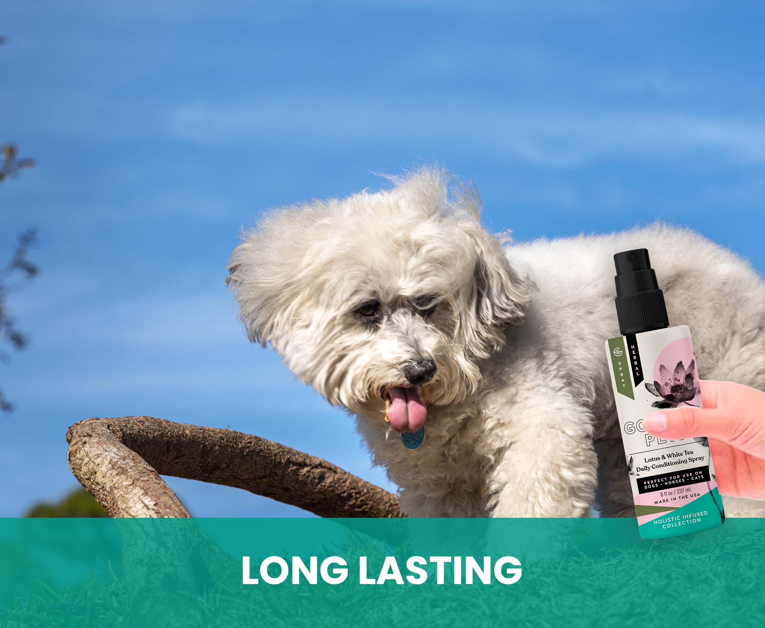 Lotus and White Tea Daily Conditioning Spray for Cats