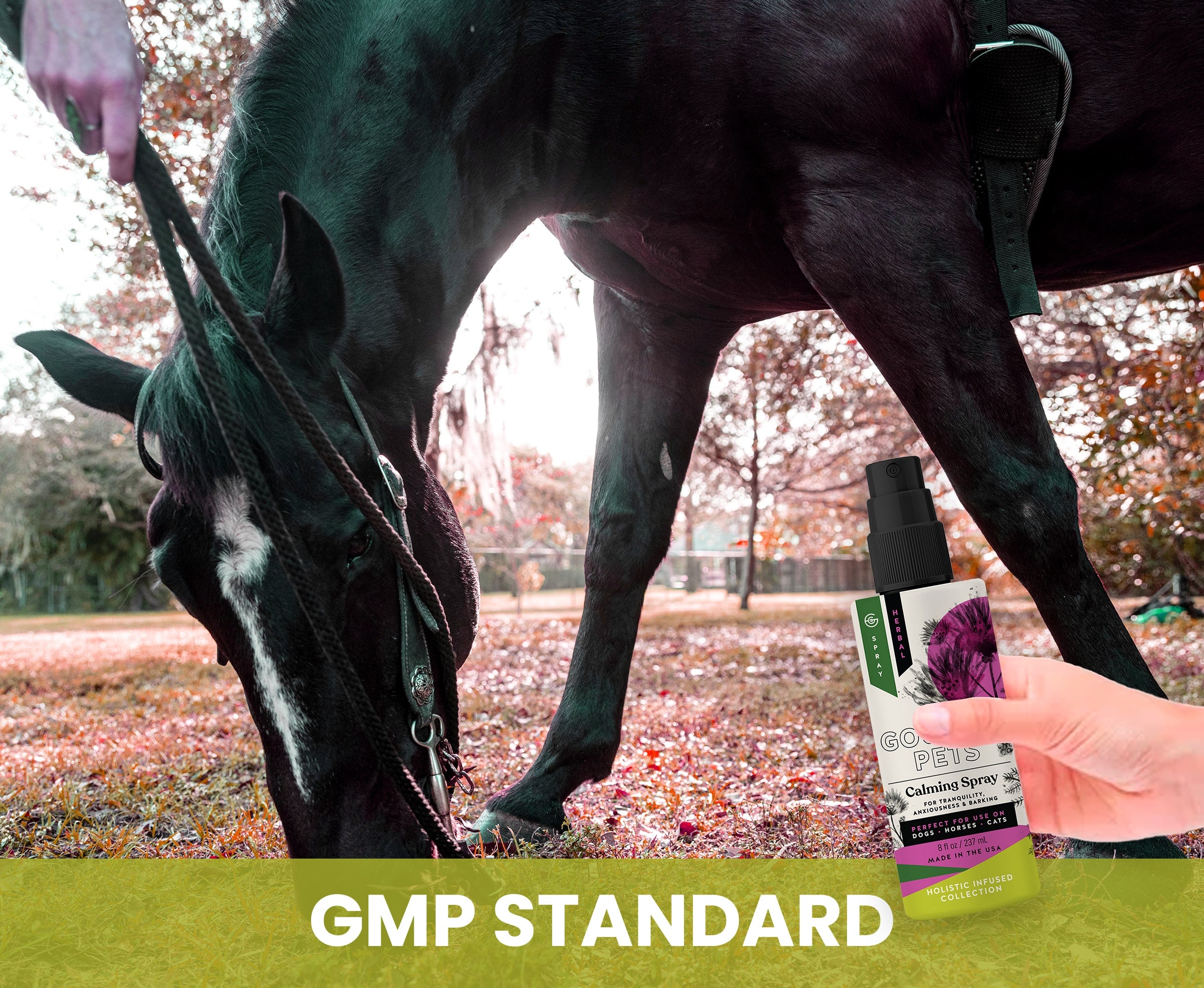 Calming Spray for Dogs: Natural Support for Anxiousness and Stress