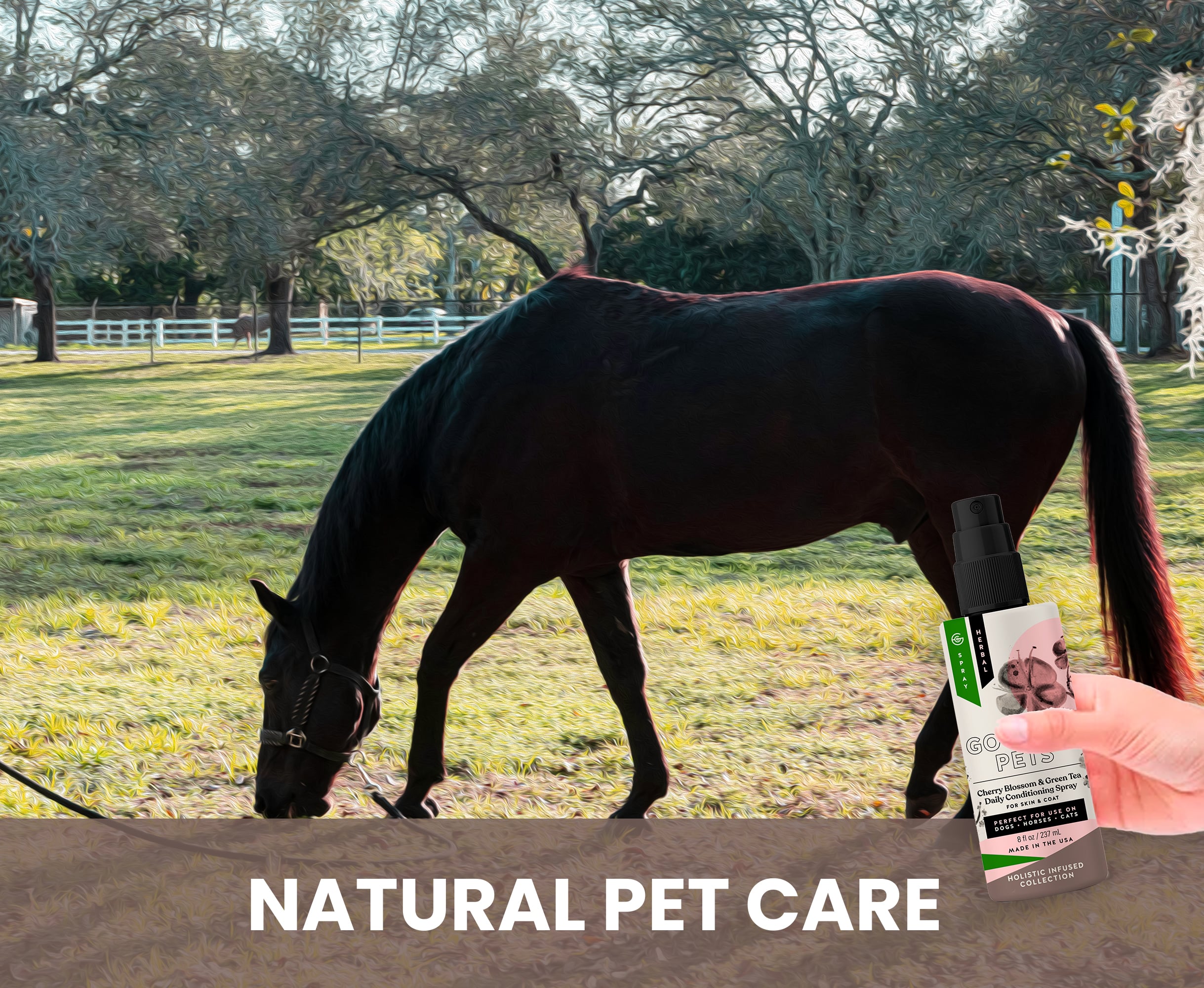 Cherry Blossom and Green Tea Conditioner for Dogs