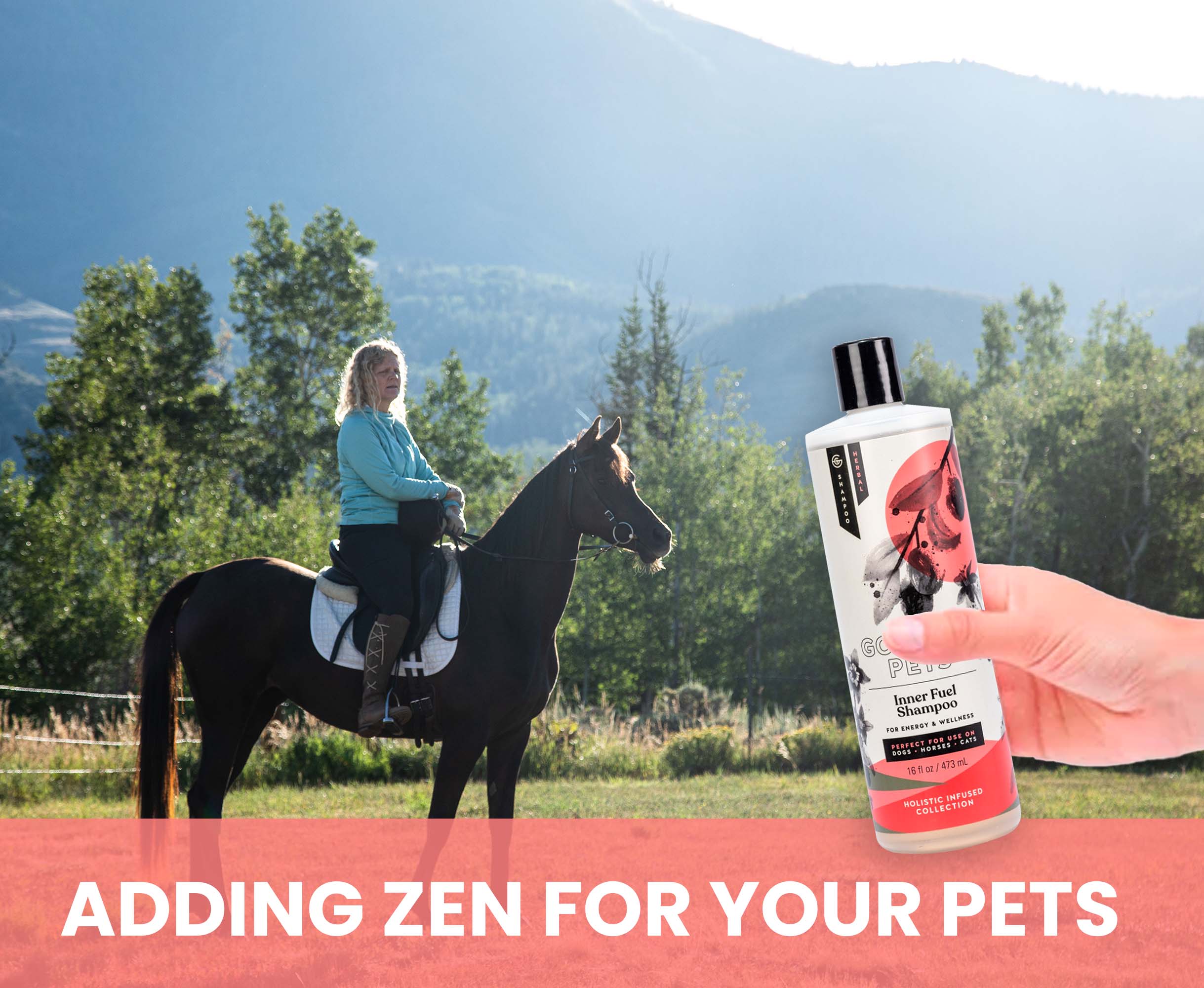 Inner Fuel and Energy Boosting Shampoo for Dogs