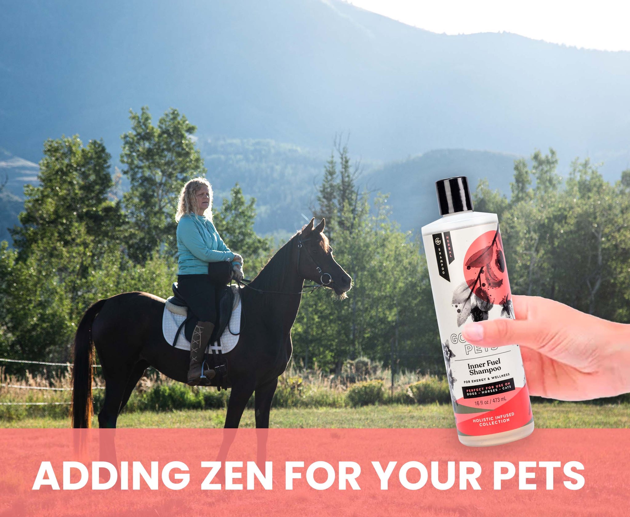 Inner Fuel and Energy Boosting Shampoo for Dogs