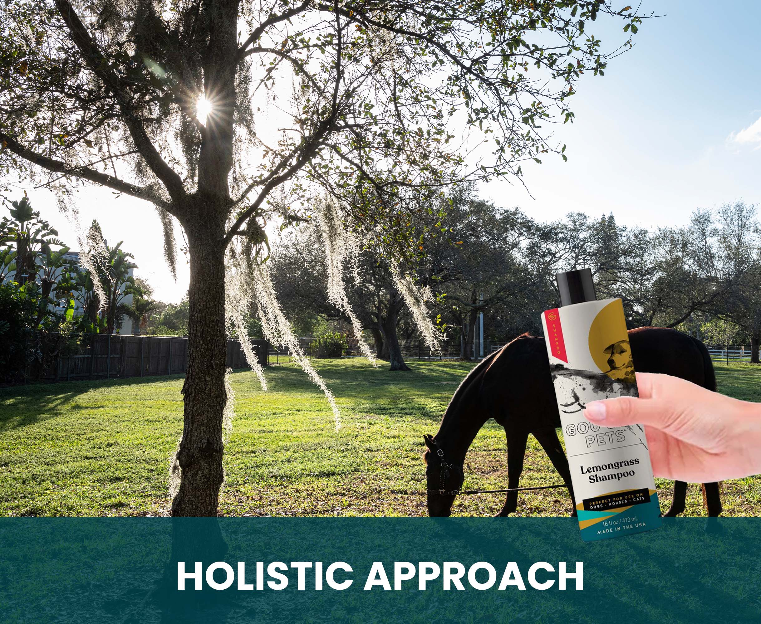 Lemongrass Shampoo for Dogs