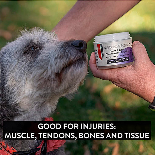 Joint and Bone Ointment for Dogs image 4