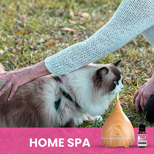 Essential Oil Diffuser and Calming Oil Set for Cats