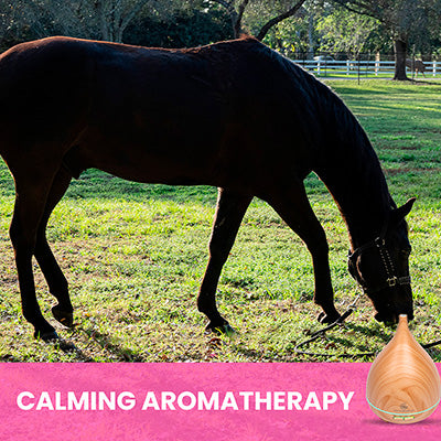 Essential Oil Diffuser for Horses | 300 mL