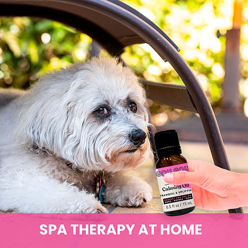 Calming Oil for Dogs