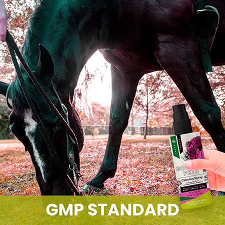 Calming Spray for Horses: Natural Support for Anxiousness and Stress