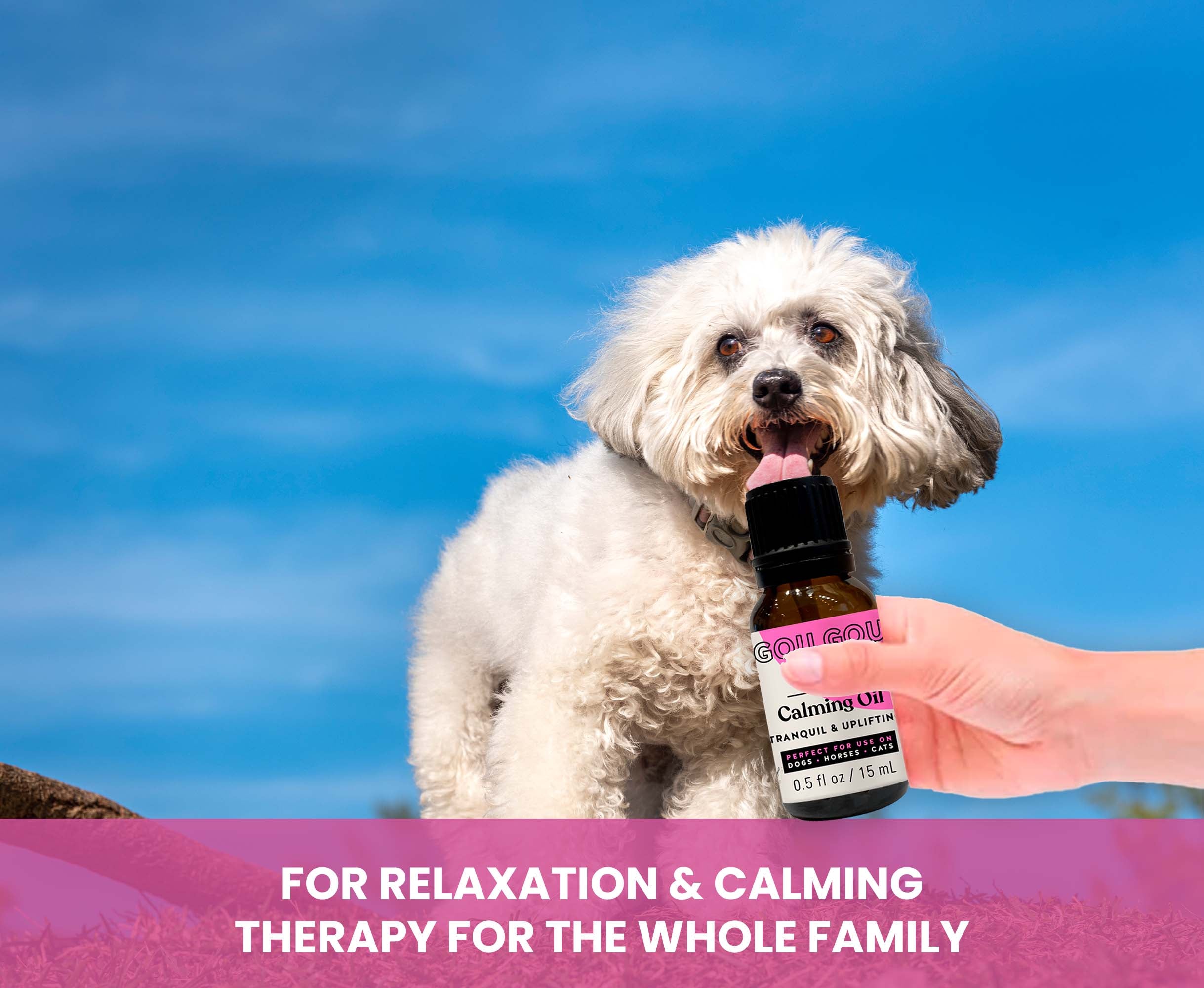 White dog holding a bottle labeled 'Calming Oil' with a blue sky background