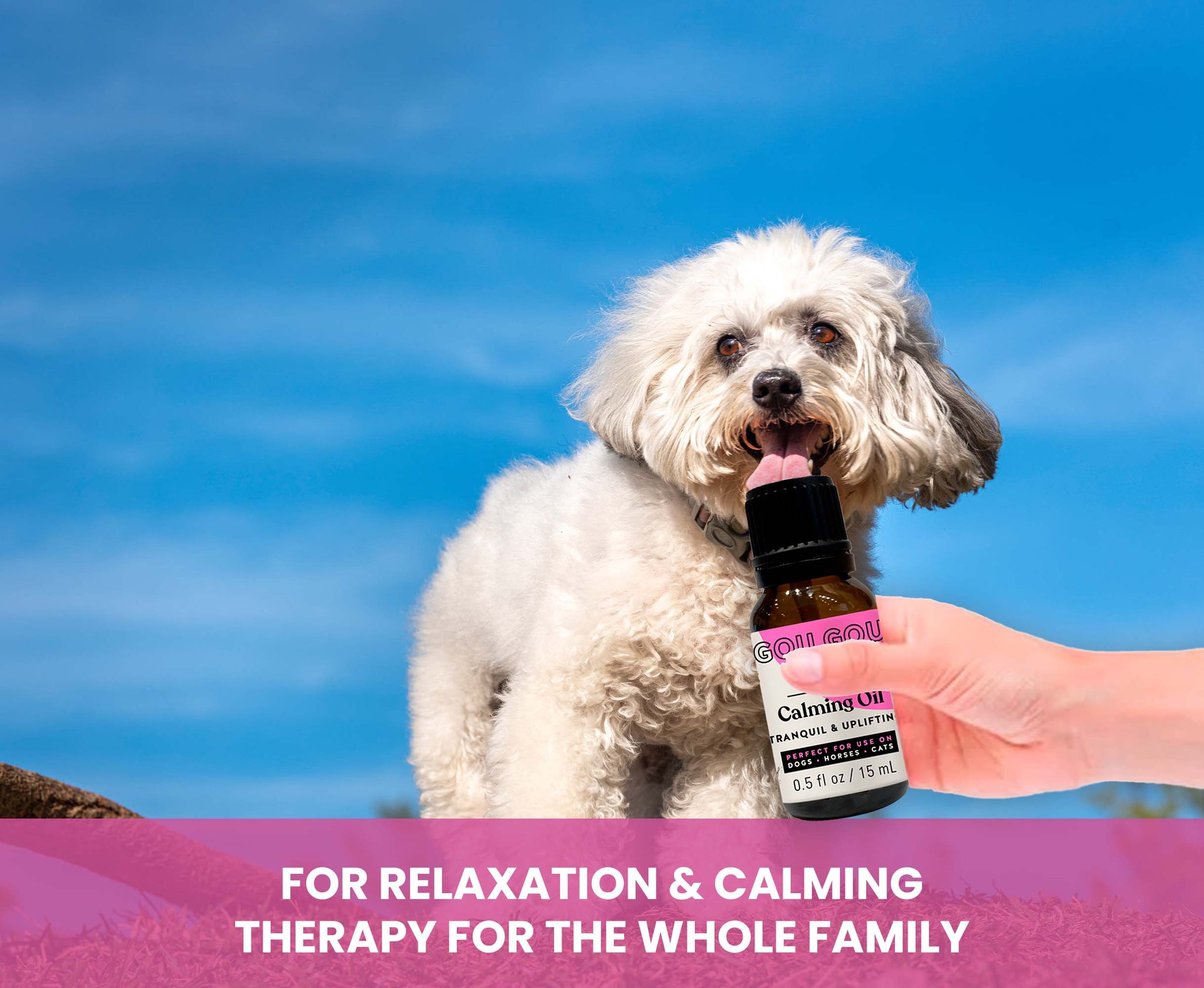 White dog holding a bottle labeled 'Calming Oil' with a blue sky background