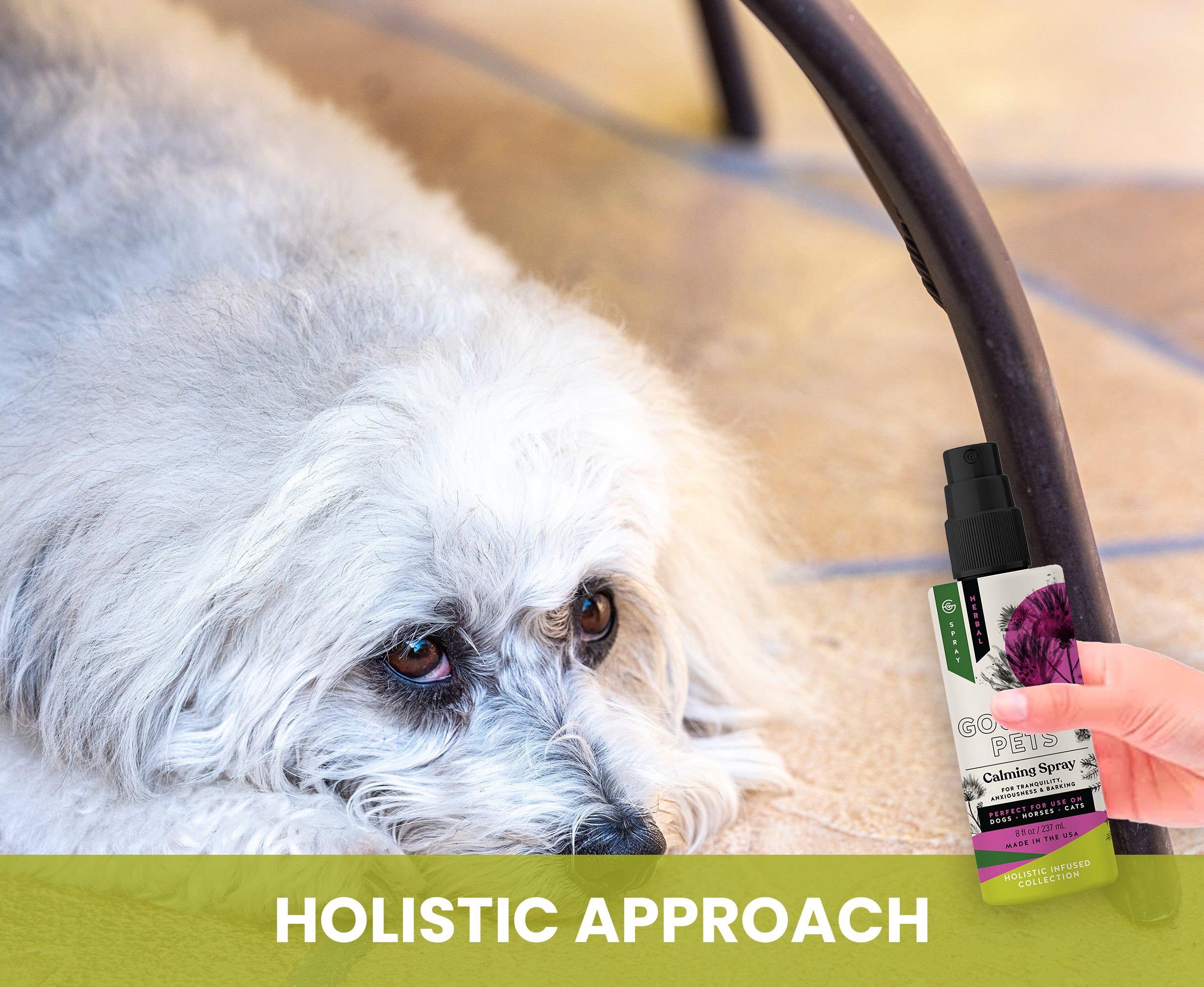 Dog with a bottle of CC Pets Calming Spray on a blurred background