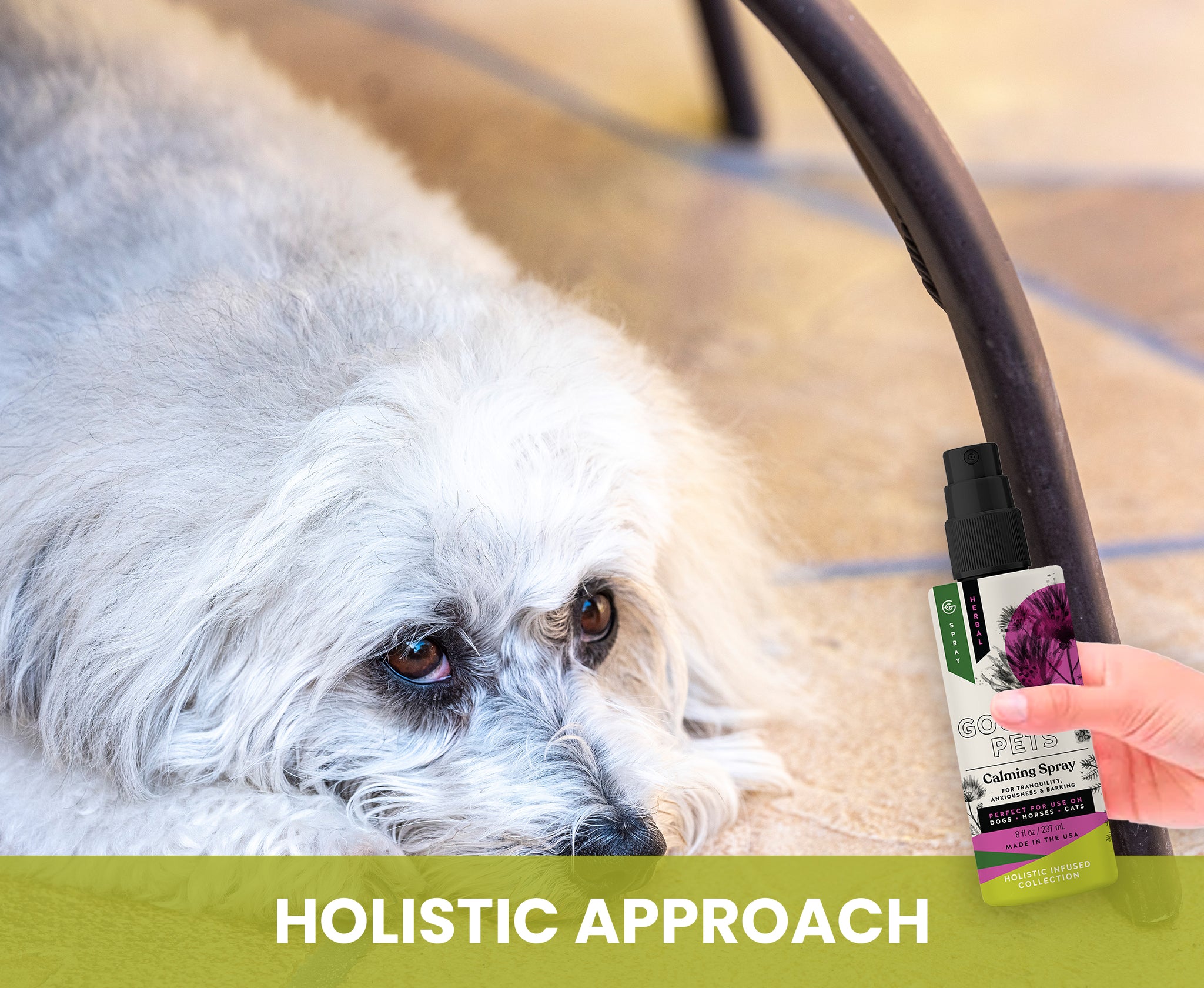 Dog with a bottle of CC Pets Calming Spray on a blurred background