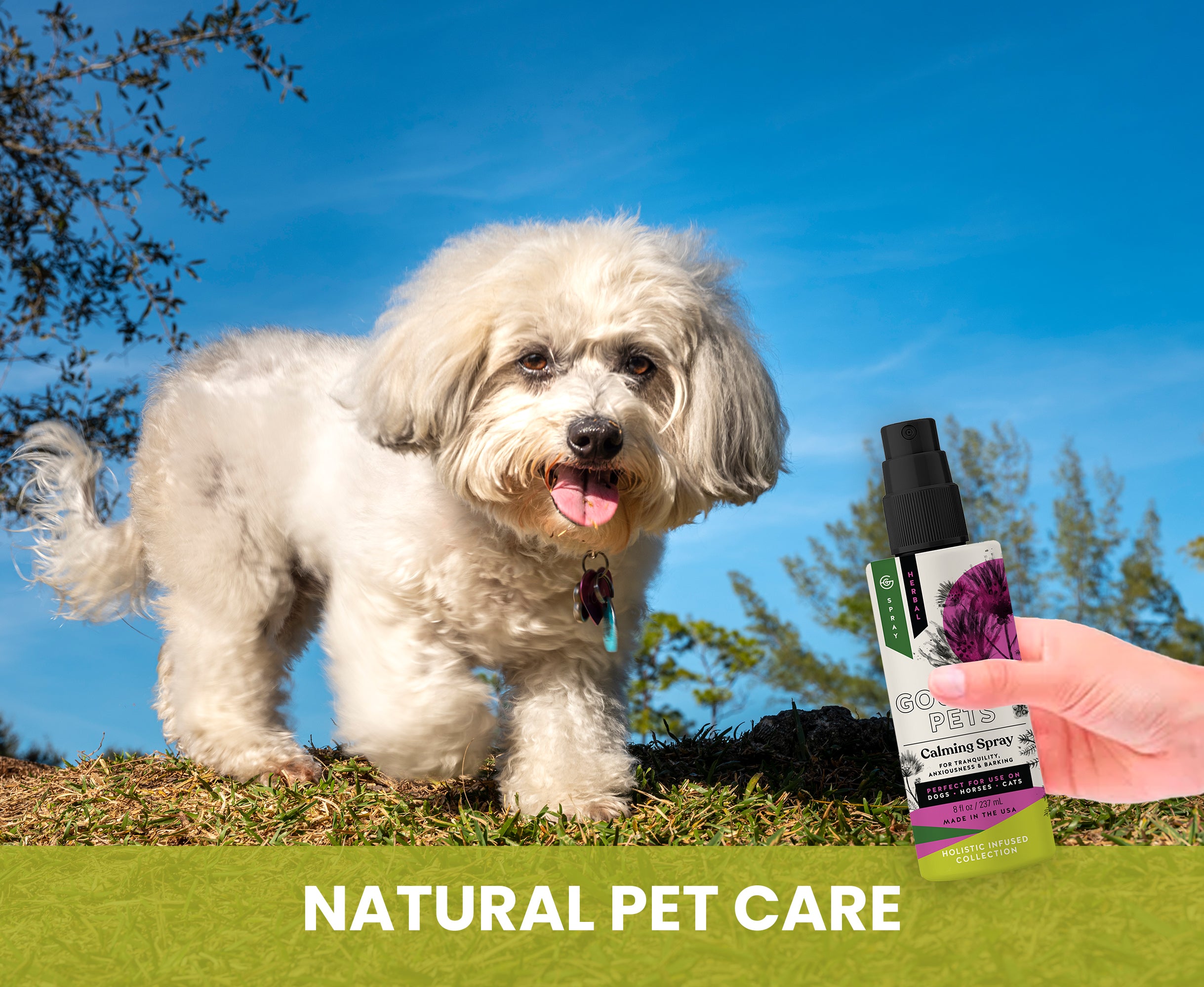 White dog standing outdoors with a bottle of natural pet care product held by a hand.