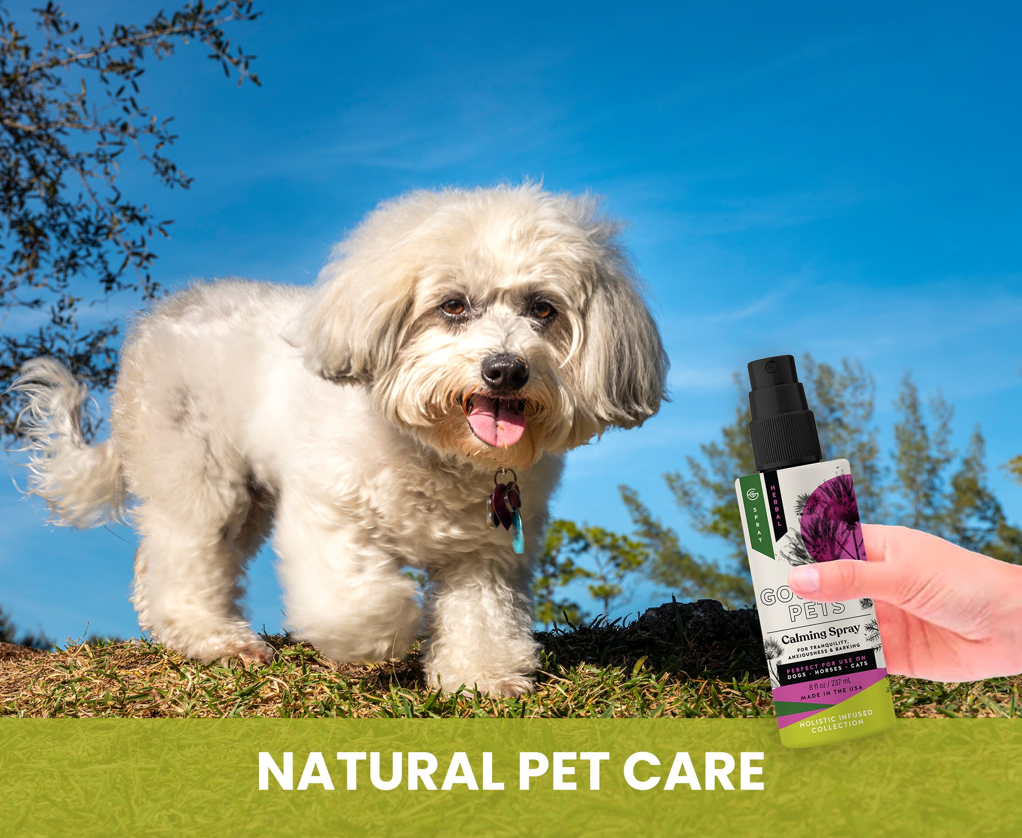 White dog standing outdoors with a bottle of natural pet care product held by a hand.