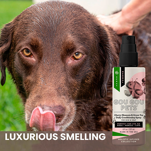 Cherry Blossom and Green Tea Conditioner for Dogs