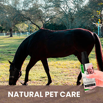 Horse grazing in a field with a product labeled 'Natural Pet Care' in the foreground.
