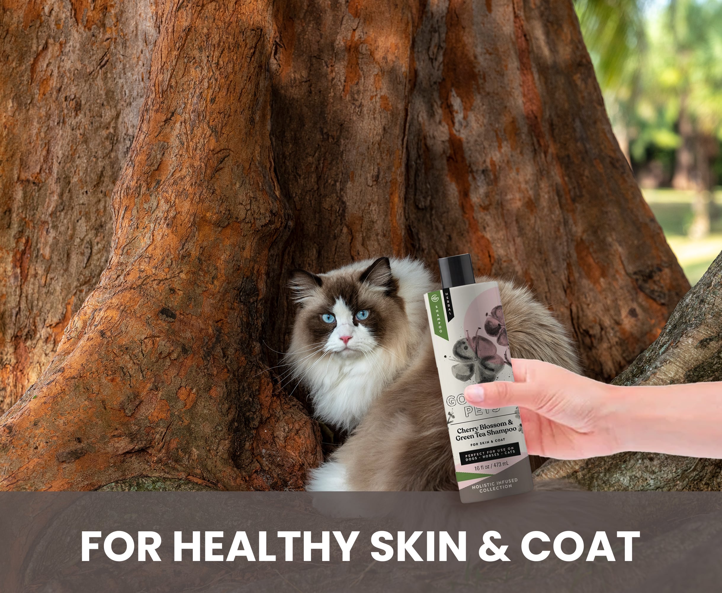 Cherry Blossom and Green Tea Shampoo for Dogs