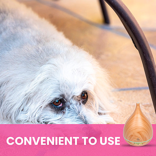 Essential Oil Diffuser for Dogs | 300 mL