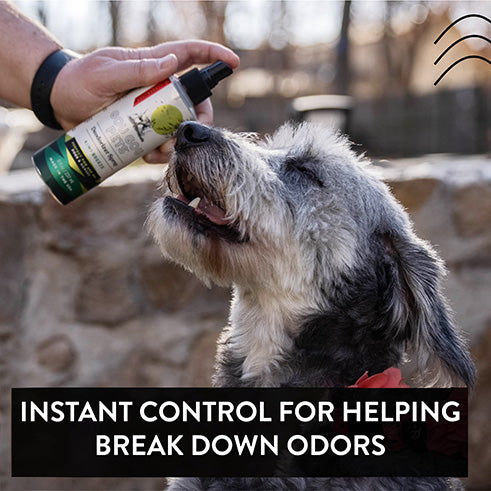 Deodorizer Spray for Dogs