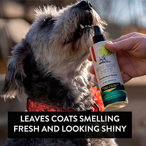 Deodorizer Spray for Dogs