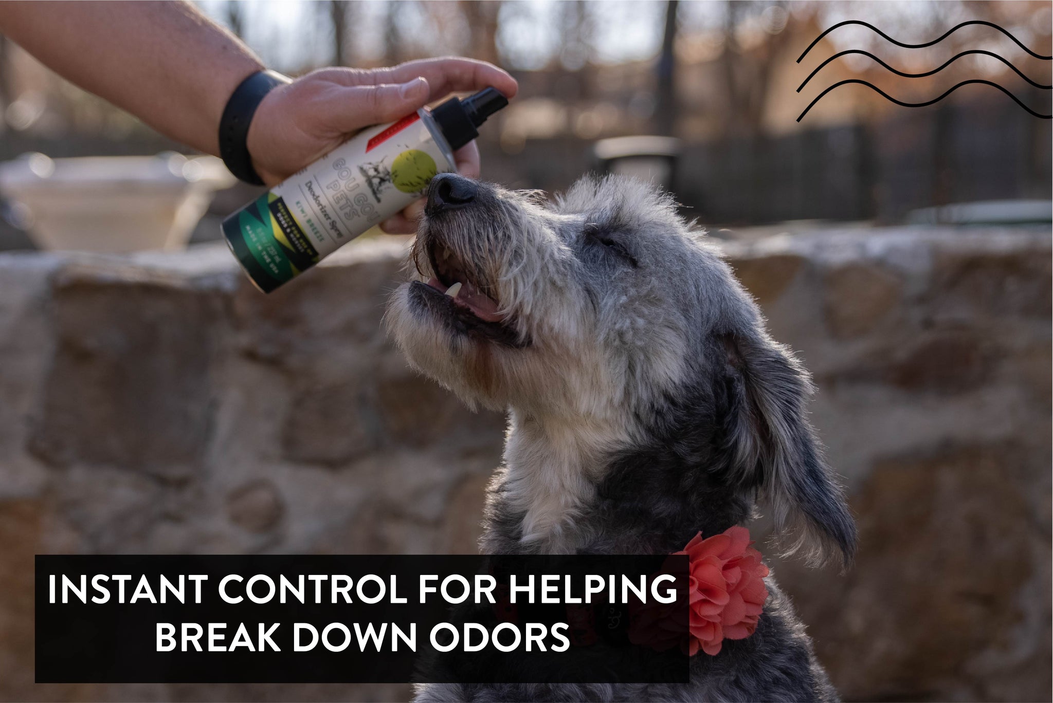 Person applying a spray to a dog's nose with a stone wall and blurred background