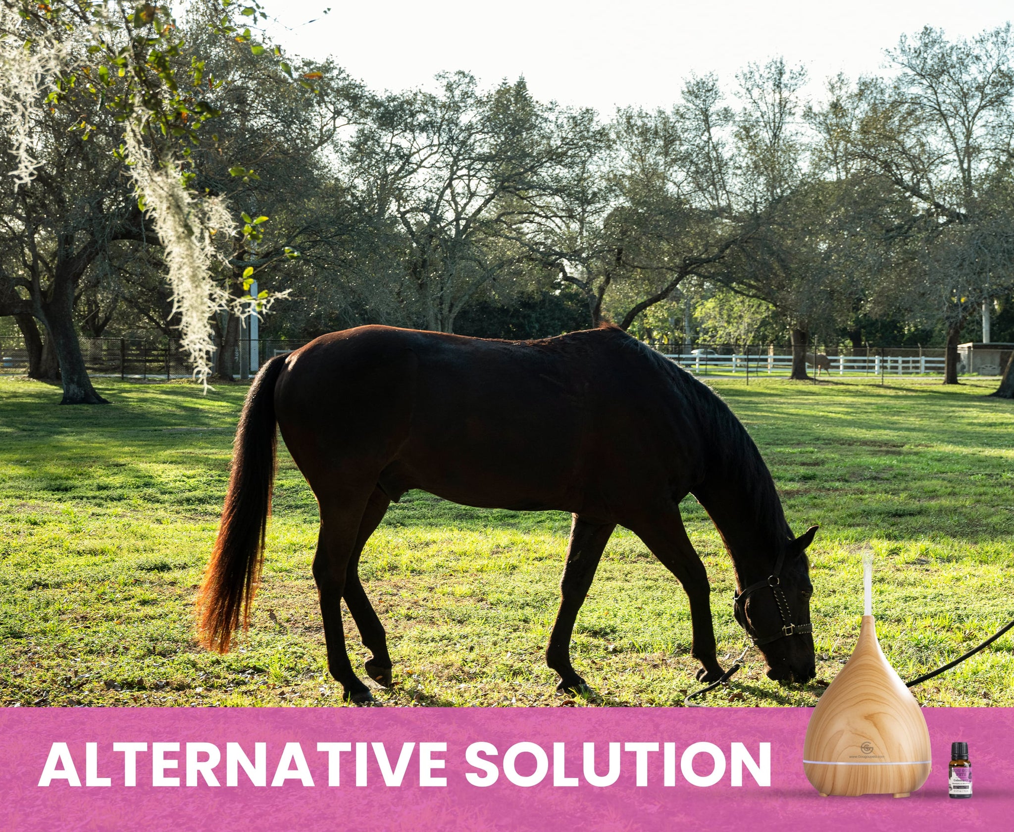 Essential Oil Diffuser and Calming Oil Set for Dogs