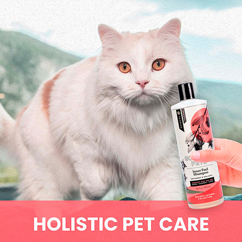 Inner Fuel and Energy Boosting Shampoo for Cats