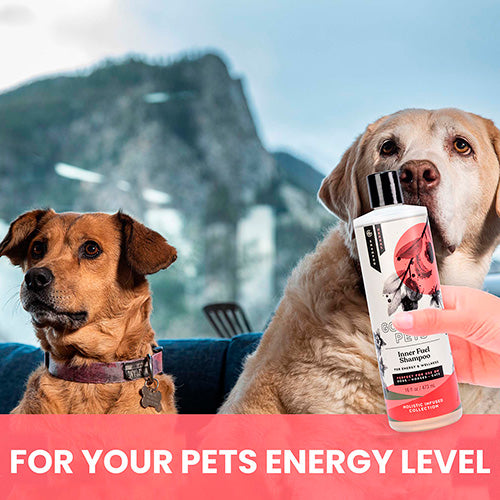 Inner Fuel and Energy Boosting Shampoo for Dogs