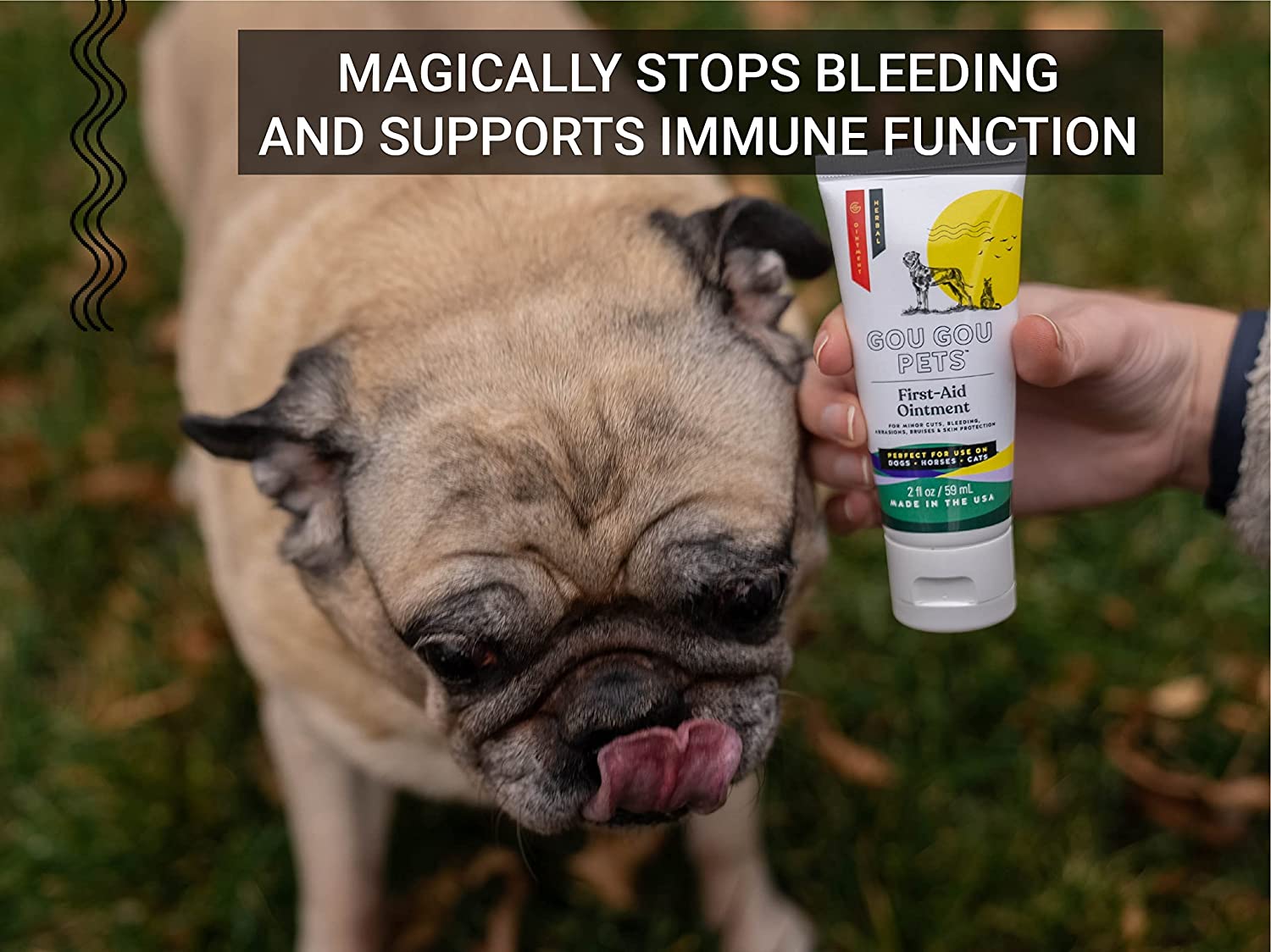 First Aid Ointment for Horses