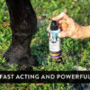 Joint Spray for Dogs